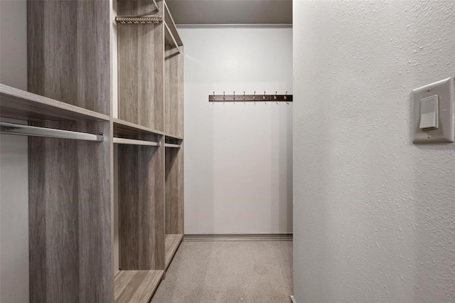 2320 James Ln, Sarasota, FL 34231 - walk in closet with carpet