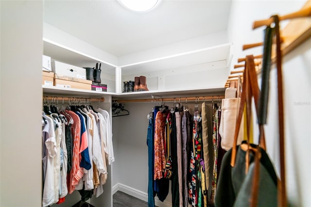 3850 13th Ave N Unit 113, Saint Petersburg, FL 33713 - view of walk in closet