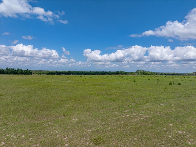 30017 Johnston Rd, Dade City, FL 33523 - photo 58
