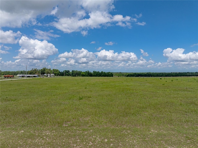 30017 Johnston Rd, Dade City, FL 33523 - photo 59