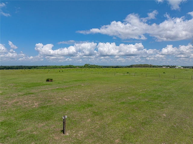 30017 Johnston Rd, Dade City, FL 33523 - photo 65