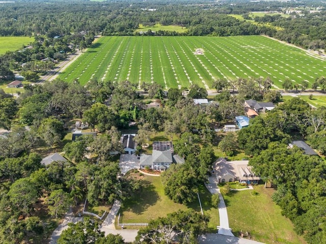 5305 Lenoir Ct, Plant City, FL 33566 - photo 75