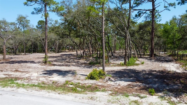 0 Akins Dr, Spring Hill, FL 34604