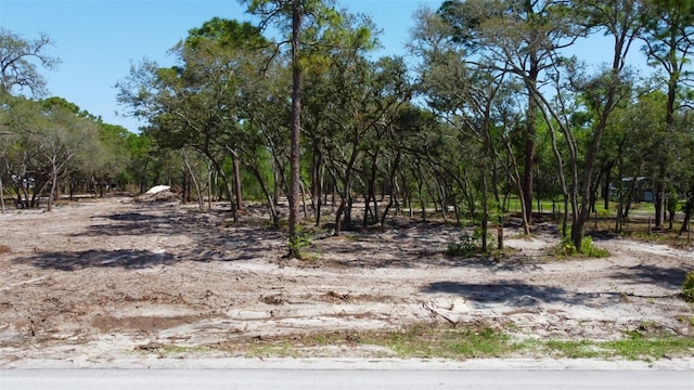 0 Akins Dr, Spring Hill, FL 34604