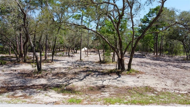 0 Akins Dr, Spring Hill, FL 34604