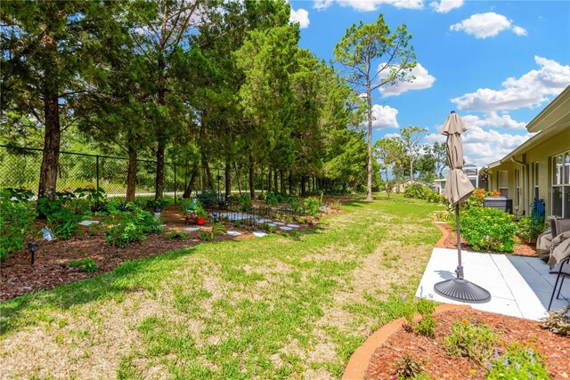 11148 Hollander Ave, Hudson, FL 34667 - view of yard featuring a patio area