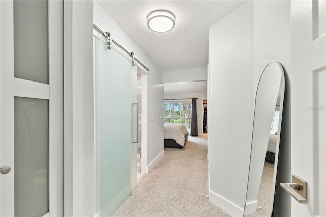 9812 Indian Key Trl Unit 84, Seminole, FL 33776 - hallway with carpet, a barn door, and baseboards