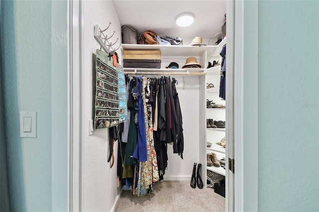 9812 Indian Key Trl Unit 84, Seminole, FL 33776 - walk in closet featuring carpet