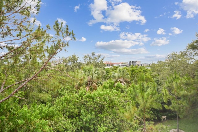 9812 Indian Key Trl Unit 84, Seminole, FL 33776 - view of nature