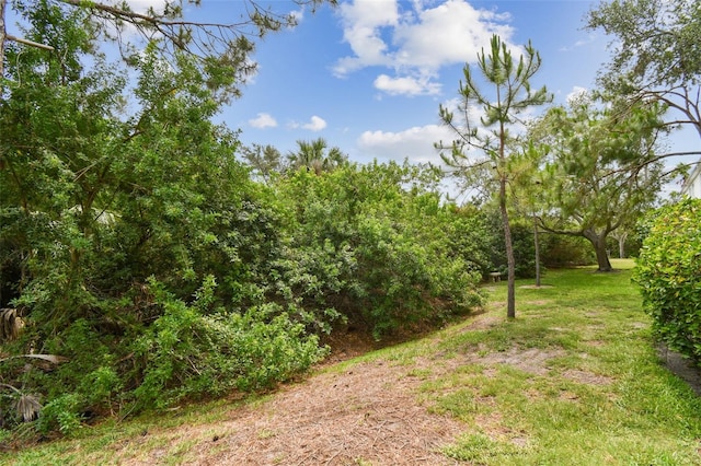 9812 Indian Key Trl Unit 84, Seminole, FL 33776 - view of green lawn