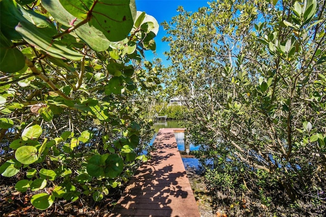 9812 Indian Key Trl Unit 84, Seminole, FL 33776 - view of dock
