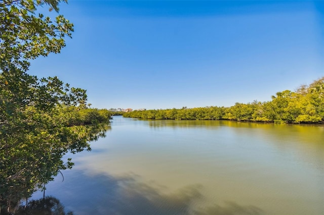 9812 Indian Key Trl Unit 84, Seminole, FL 33776 - water view with a heavily wooded area