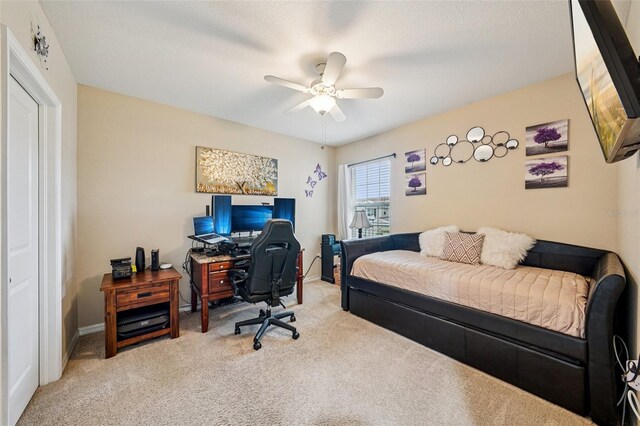 601 52nd Ter N, Saint Petersburg, FL 33703 - photo 21