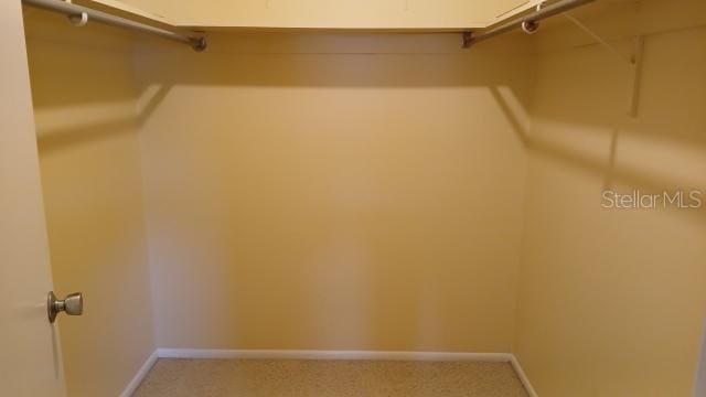 6263 Green View Cir Unit 107, Sarasota, FL 34231 - walk in closet with light carpet