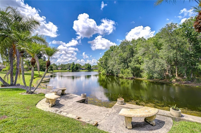 17917 Clear Lake Dr, Lutz, FL 33548 - dock with a water view and a lawn