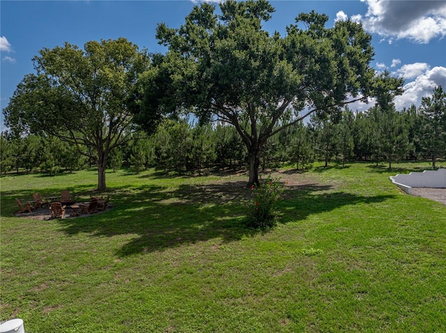 16326 Kalli Way, Dade City, FL 33523 - view of grassy yard with a fire pit and view of scattered trees