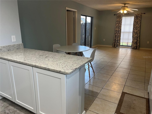 4008 Ashford Green Pl Unit F101, Tampa, FL 33613 - kitchen with healthy amount of natural light, ceiling fan, a peninsula, and white cabinets