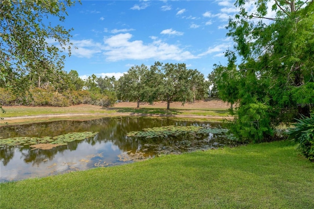 13872 Siena Loop, Lakewood Ranch, FL 34202 - water view
