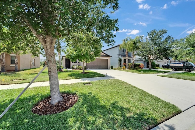 11121 Hudson Hills Ln, Riverview, FL 33579 - view of property hidden behind natural elements featuring driveway, stucco siding, a front yard, and a garage
