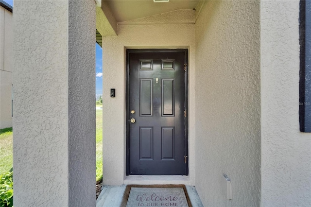 11121 Hudson Hills Ln, Riverview, FL 33579 - property entrance featuring stucco siding