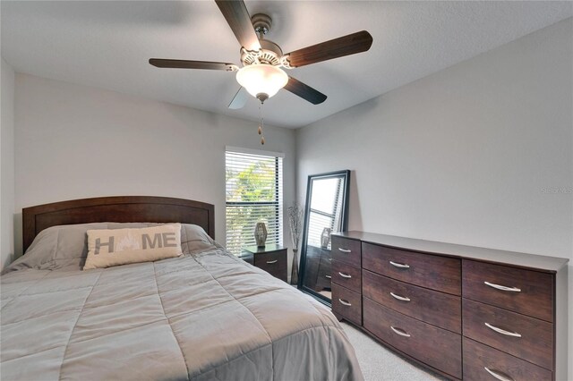 11121 Hudson Hills Ln, Riverview, FL 33579 - bedroom with light carpet and a ceiling fan