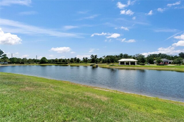 11121 Hudson Hills Ln, Riverview, FL 33579 - water view