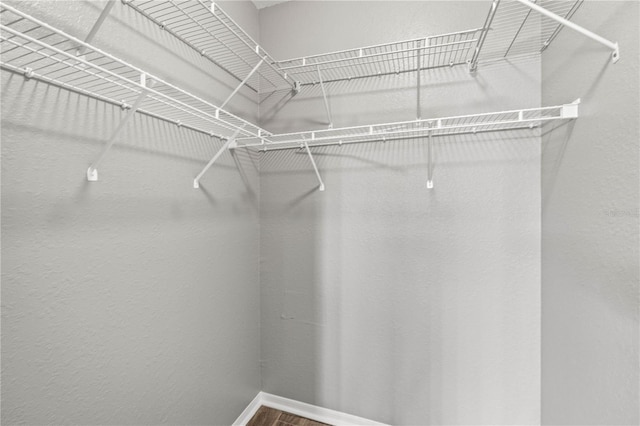9416 Lake Chase Island Way Unit 9416, Tampa, FL 33626 - spacious closet featuring wood finished floors