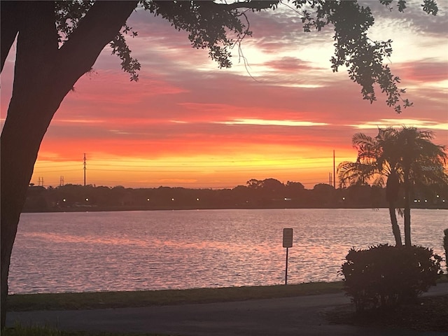 9416 Lake Chase Island Way Unit 9416, Tampa, FL 33626 - water view