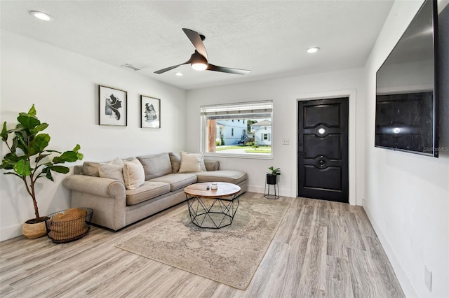 775 39th Ave NE, Saint Petersburg, FL 33703 - photo 10