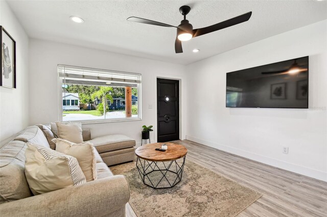 775 39th Ave NE, Saint Petersburg, FL 33703 - photo 11
