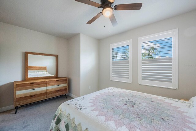 1897 Trailside Dr, Palm Harbor, FL 34683 - photo 33