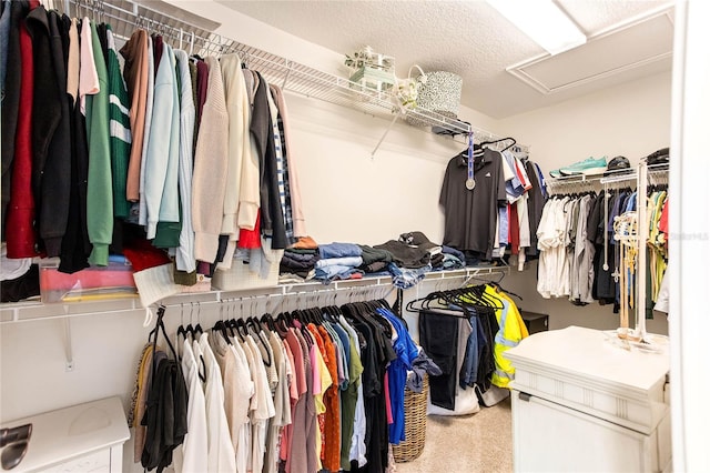 14245 Damselfly Dr, Tampa, FL 33625 - walk in closet with attic access