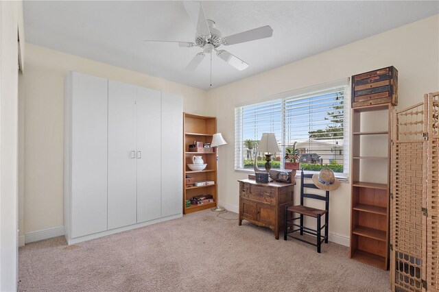 9226 41st St N, Pinellas Park, FL 33782 - photo 21