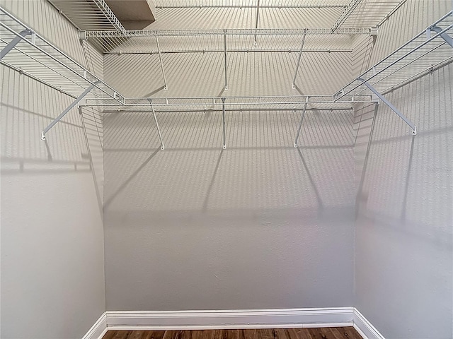 13110 Manistee Rd, Weeki Wachee, FL 34614 - walk in closet with wood finished floors