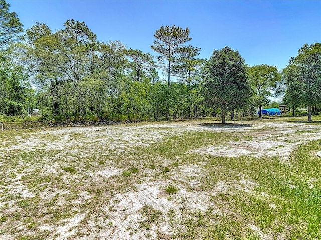 13110 Manistee Rd, Weeki Wachee, FL 34614 - view of yard
