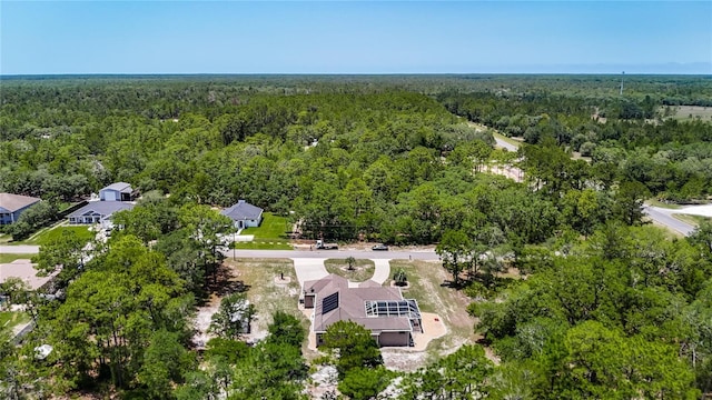 13110 Manistee Rd, Weeki Wachee, FL 34614 - drone / aerial view of a forest