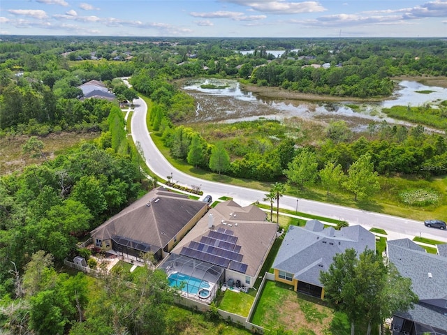 7410 Ambleside Dr, Land O Lakes, FL 34637 - aerial view of residential area featuring a large body of water and a heavily wooded area