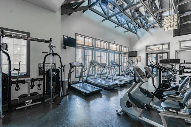 7410 Ambleside Dr, Land O Lakes, FL 34637 - gym with a towering ceiling