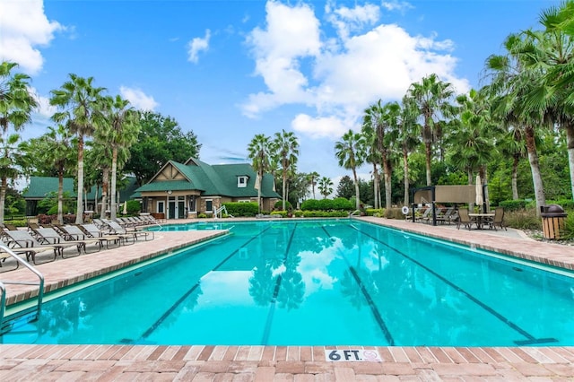7410 Ambleside Dr, Land O Lakes, FL 34637 - community pool featuring a patio area