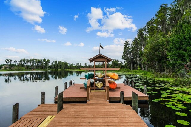 7410 Ambleside Dr, Land O Lakes, FL 34637 - dock area with a water view