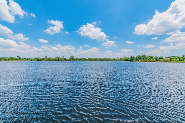 7410 Ambleside Dr, Land O Lakes, FL 34637 - water view