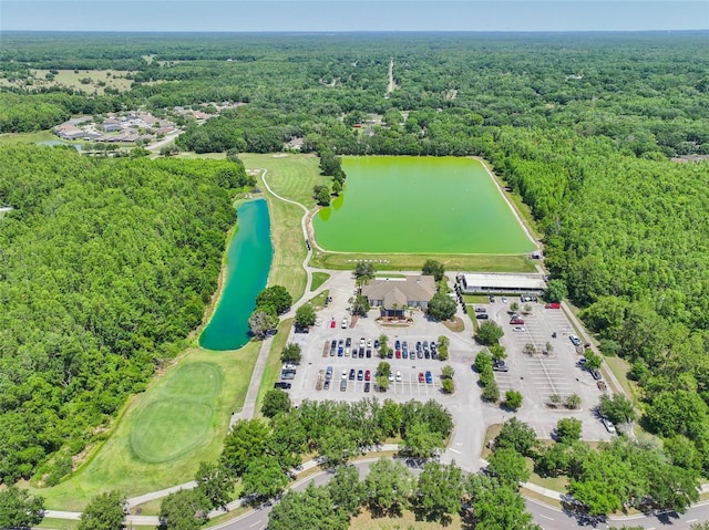 5340 Riva Ridge Dr, Wesley Chapel, FL 33544 - drone / aerial view of a forest and a nearby body of water