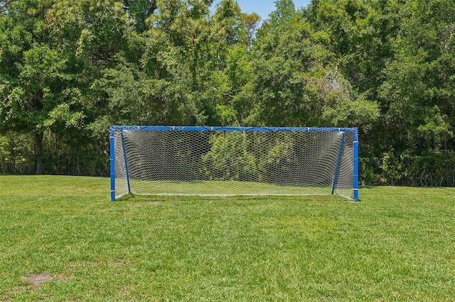 5340 Riva Ridge Dr, Wesley Chapel, FL 33544 - view of property's community with an area for soccer