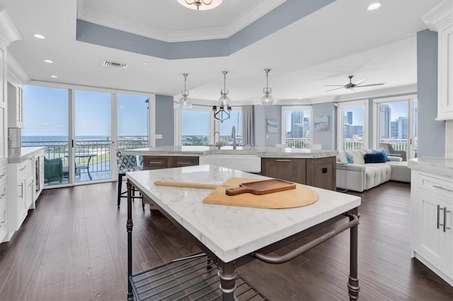 555 5th Ave NE Unit 1032, Saint Petersburg, FL 33701 - kitchen featuring an island with sink, a sink, a tray ceiling, dark wood-style floors, and recessed lighting