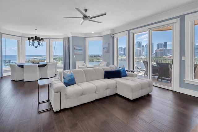 555 5th Ave NE Unit 1032, Saint Petersburg, FL 33701 - living room with ornamental molding, a skyline view, a chandelier, dark wood finished floors, and plenty of natural light