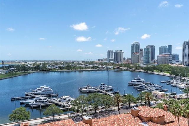555 5th Ave NE Unit 1032, Saint Petersburg, FL 33701 - water view featuring city skyline and a marina