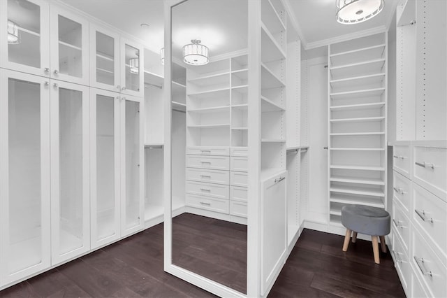 555 5th Ave NE Unit 1032, Saint Petersburg, FL 33701 - spacious closet featuring dark wood-type flooring