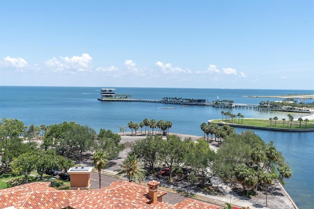 555 5th Ave NE Unit 1032, Saint Petersburg, FL 33701 - water view