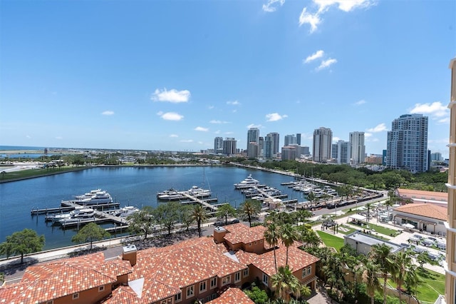 555 5th Ave NE Unit 1032, Saint Petersburg, FL 33701 - water view featuring skyline and numerous boat docks