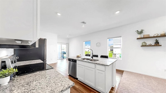 35552 Shade Fern Ln, Zephyrhills, FL 33541 - kitchen with a sink, stainless steel dishwasher, range, ventilation hood, and white cabinets